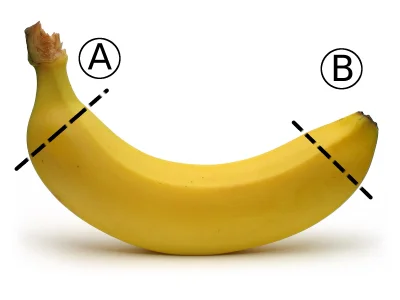 n.....g - Czy przed zjedzeniem banana odcinasz którąś z końcówek? 

Chodzi o prześw...