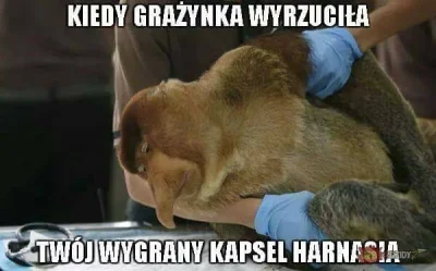 przypadkowylogin - Nie widziałem wcześniej