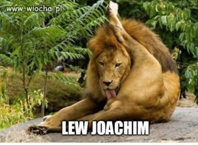 vartan - Lew Joachim trzyma stajla
#euro2016 #lew #joachimloew