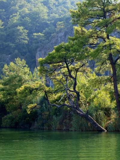 klimunio - Turcja, rejs rzeką Dalyan



#earthporn #fotografia #turcja #drzewo