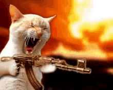 Atreyu - @Nightshift12551: koty ZABIJAJOM bezbronne zwierzęta, nawet do 5 miliardów w...