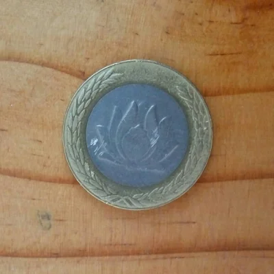 pitrek136 - Rozpoznaje ktoś co to za moneta?
#kiciochpyta #numizmatyka #monety