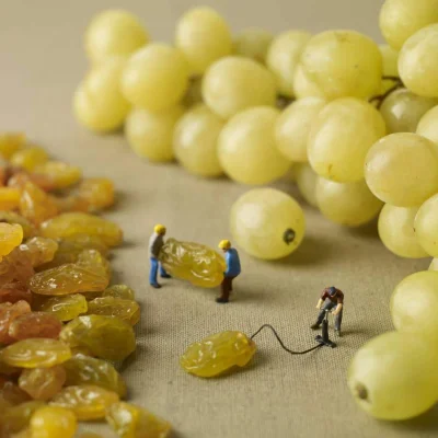 luczjano - Proces tworzenia winogrona ( ͡° ͜ʖ ͡°)

#dziendobry #ciekawostki