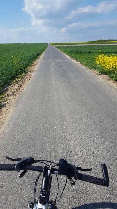 kml86 - Jechać, nie jechać 
SPOILER


#rower #wiosna