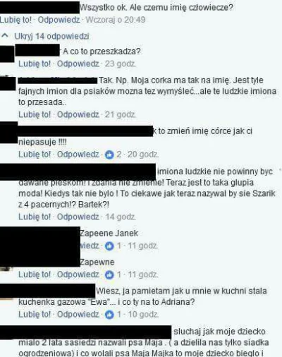 SzaraSara - Komentarze pod postem fundacji ze szukają właściciela dla suczki "Maja".
...