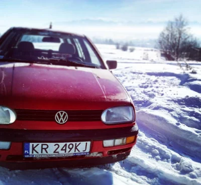 drhipis - @Zdejm_Kapelusz: Jeszcze jest (do jesieni) Golf 3 kombi diesel. Odpala ciąg...