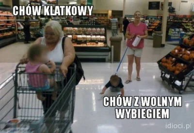 Flexo - Stanowcze NIE dla chowu klatkowego.