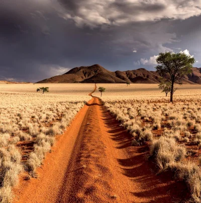 Artktur - Pustynia Namib

Odkrywaj świat z wykopem ---> #exploworld

#fotografia ...