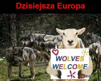 paszczurek - #heheszki #humorobrazkowy #rapefugees #refugeeswelcome #4konserwy