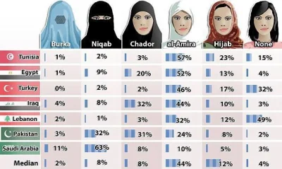 Czajna_Seczen - Ciekawa infografika: czym się różni burka od hidżabu i gdzie je noszą...