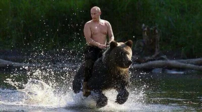 januszzczarnolasu - Putin to ma klawe życie...