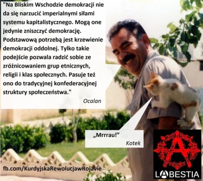 Paulinho - #ocalan #pkk #pyd #bliskiwschod #anarchizm #demokracja #demokratycznykonfe...