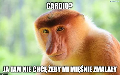 Heart - Za każdym razem jak rozmawiam ze znajomymi wanna-be koksami ( ͡° ͜ʖ ͡°)
#sil...