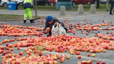 s.....o - "Starsza pani zbiera jabłka po proteście #AgroUnia. Najsmutniejsze zdjęcie,...