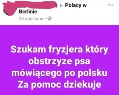 takamyszzkolcami - ¯\(ツ)_/¯

#heheszki #polakicebulaki