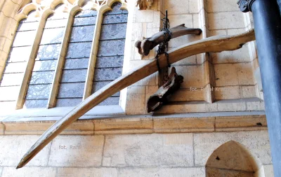 Cedrik - Fun fact: przy drzwiach katedry na Wawelu wiszą sobie kości Smoka Wawelskieg...