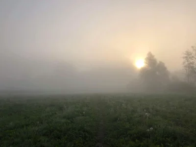 Reevhar - Dzień dobry Mireczki, 10 plusów i wchodzę w tę otchłań 


#dziendobry #mgla...