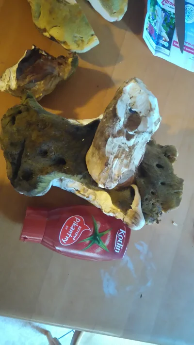 Mrocb - keczupik dla skali