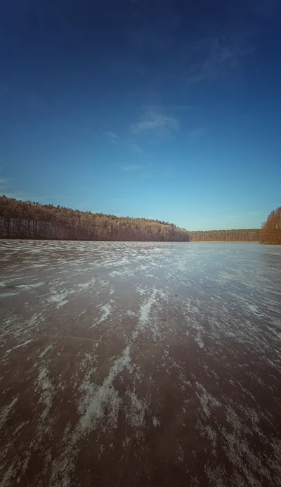 dwiekropki - Rezerwat Przyrody Kuźnik, Piła
na zamarzniętym jeziorze Rudnickim
#fot...