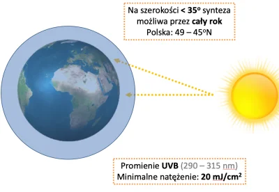 Koryntiusz - Z fp Damian Parol

Robię prezentacje o witaminie D. 
I zacząłem się z...