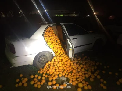 Z.....u - Jak kraść to miliony..

..pomarańczy.

WTF

#samochody #policja #krad...