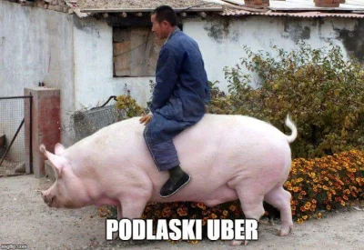 Siaa - #podlasie #uber #heheszki #beczkasmiechu