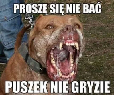 brylant_brylant - #gruszkabagietstory #obowiazekobywatelski #psy xD 

tl;dr 

SPO...