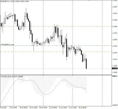 marek_1981 - #forex