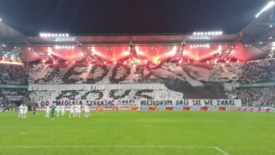 neonidas - #mecz #oprawa #legia