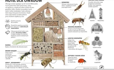 ziel0ny - @Megachilidae: Pomysł na szyszki i słomę wziąłem z tej grafiki, myślałem że...