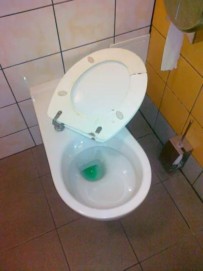 A.....o - Piękna toaleta na jednej ze stacji benzynowej w Łodzi. Nie dość, że deska p...