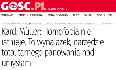 pointlessnickname - Ludzie mieli racją mówiąc,że w Polszy nie ma homofobii ( ͡° ͜ʖ ͡°...