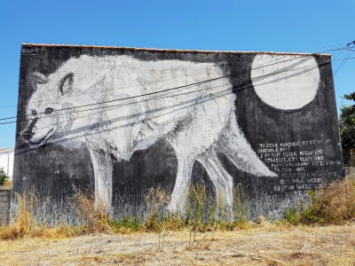 vianette - Polski mural w środku Portugalii :) 
#mural #portugalia #kaczmarski #wilk