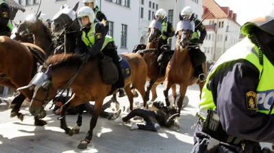 S.....S - @stworekpotworekpokaze_jezorek: W Szwecji jest nacisk na wszelką brutalność...