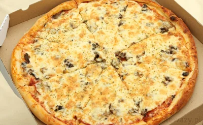f.....d - ile kawałków pizzy 40 cm normalnie jesteś w stanie zjeść? #pizza #ankietafo...