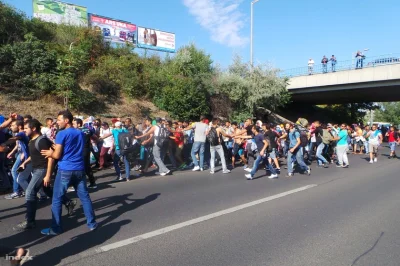 m.....l - dziwna sprawa. 
Przeglądam sobie zdjęcia z tzw. kryzysu imigracyjnego na W...