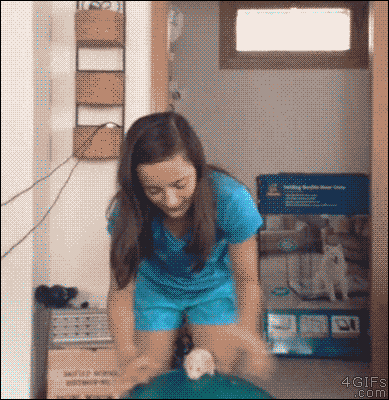 raf - #chomiki #gif #heheszki
