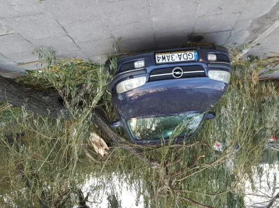 wersX - Auto spadło na drzewo