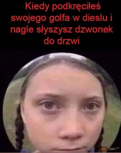 c.....7 - Jak na obrazku
#motoryzacja #gretathunberg #bekazlewactwa #ekologia #neuro...