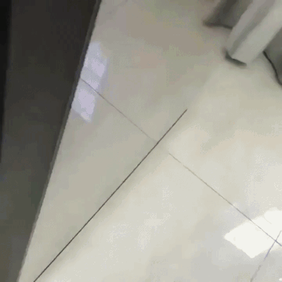 Dibhala - Nie budź psa jak ... (。◕‿‿◕。)
#smiesznypiesek #heheszki