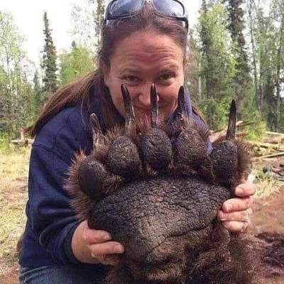 cheeseandonion - Podaj mi swą maleńką dłoń..

#ciekawostki #redditselected #grizzly