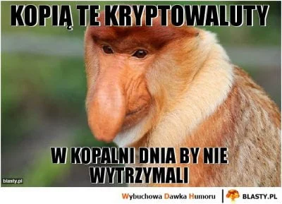 g.....2 - #gorolenieznajo #bitcoin #kryptowaluty #slask