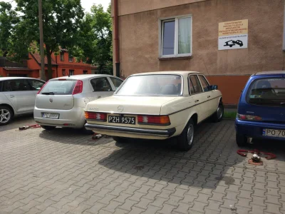 kendi - (⌒(oo)⌒)


#czarneblachy #carspotting #mercedesspam #w123