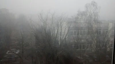 wujeklistonosza - W Bydgoszczy teraz niesamowity smog, aż się wyjść boję na zewnątrz ...