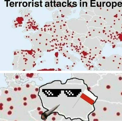 IroL - #polandstronk #polska #terroryzm #islam #islamizacja #thuglife