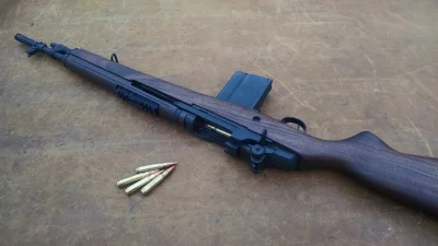 Rogue - Springfield M1A Scout
#bron #gunboners #projektdedal