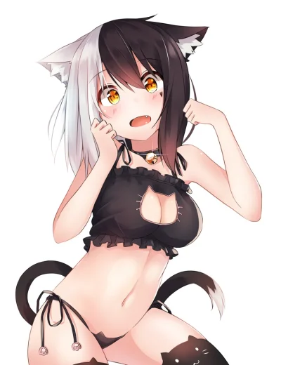 mar0uk - #randomanimeshit #swimsuit #kemonomimi #neko #originalcharacter #angrynum
T...