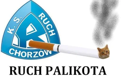 petex - #humorobrazkowy #suchar #heheszki #koty