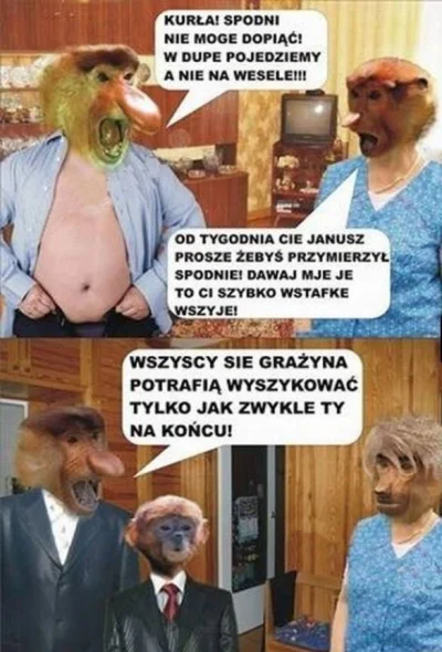 wlepierwot - #polak #gownowpis #nosaczsundajski #polskiedomy #heheszki #humorobrazkow...