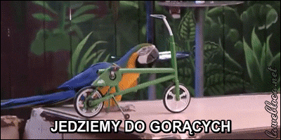 h.....f - Zrobiłęm #gif ze #smiesznygolomp

#jedziemydogoracych